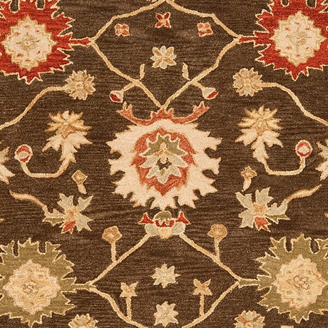 Safavieh Anatolia an554a Olive / Rust Rugs.
