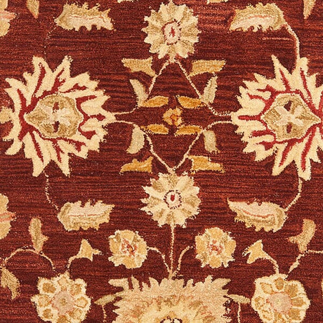 Safavieh Anatolia An556F Red / Sage Rugs.