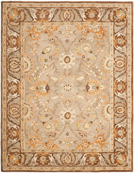 Safavieh Anatolia An558A Dark Grey / Brown Rugs.