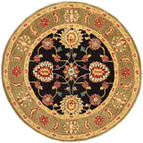 Safavieh Anatolia An561C Black / Green Rugs.
