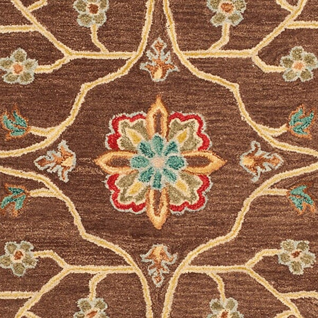 Safavieh Anatolia An562A Brown / Gold Rugs.