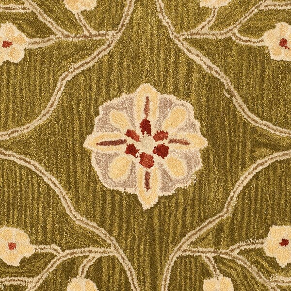 Safavieh Anatolia An562D Moss / Ivory Rugs.