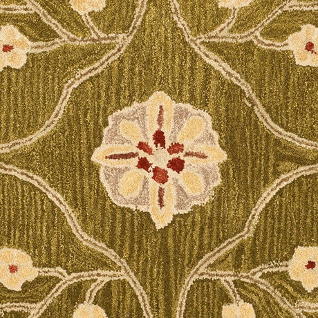 Safavieh Anatolia An562D Moss / Ivory Rugs.
