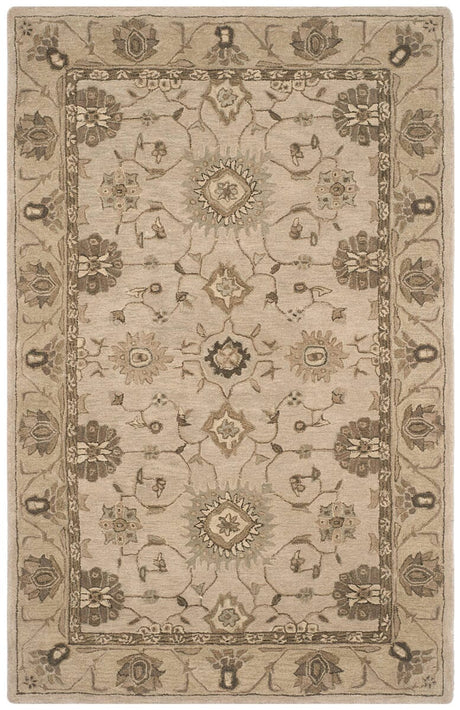 Safavieh Anatolia An586G Beige / Beige Rugs.