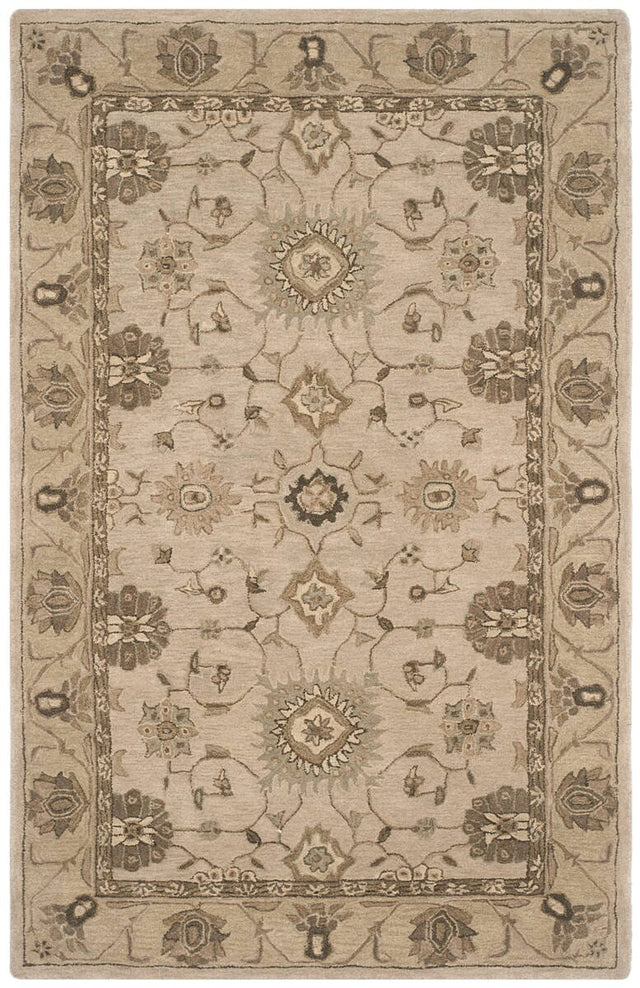 Safavieh Anatolia An586G Beige / Beige Rugs.