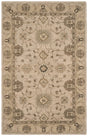 Safavieh Anatolia An586G Beige / Beige Rugs.