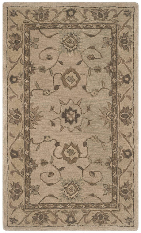 Safavieh Anatolia An586G Beige / Beige Rugs.