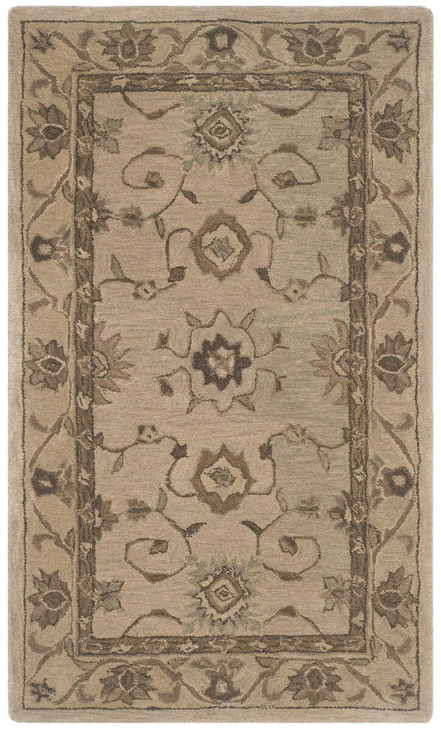 Safavieh Anatolia An586G Beige / Beige Rugs.