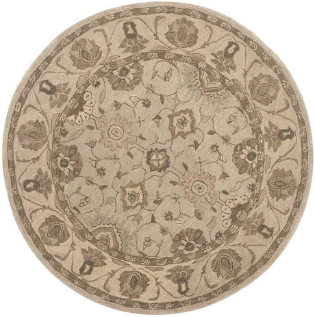 Safavieh Anatolia An586G Beige / Beige Rugs.