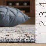 Safavieh Antique Patina Anp644F Grey/Blue Rug.