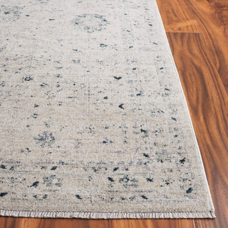 Safavieh Antique Patina Anp656A Ivory/Blue Rug.