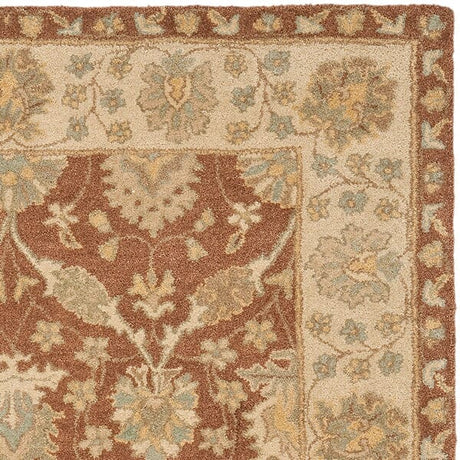 Safavieh Antiquities at315a Brown / Taupe Rugs.