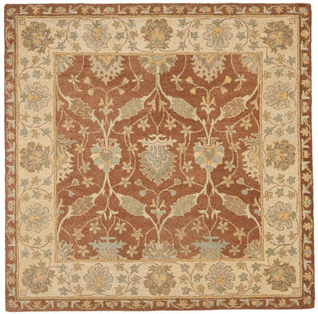 Safavieh Antiquities at315a Brown / Taupe Rugs.