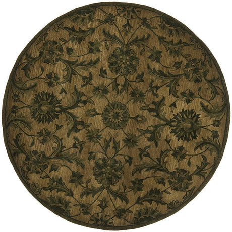 Safavieh Antiquities At824A Olive / Green Rugs.