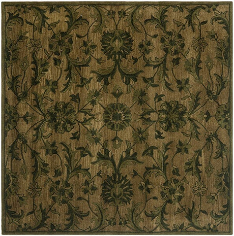 Safavieh Antiquities At824A Olive / Green Rugs.