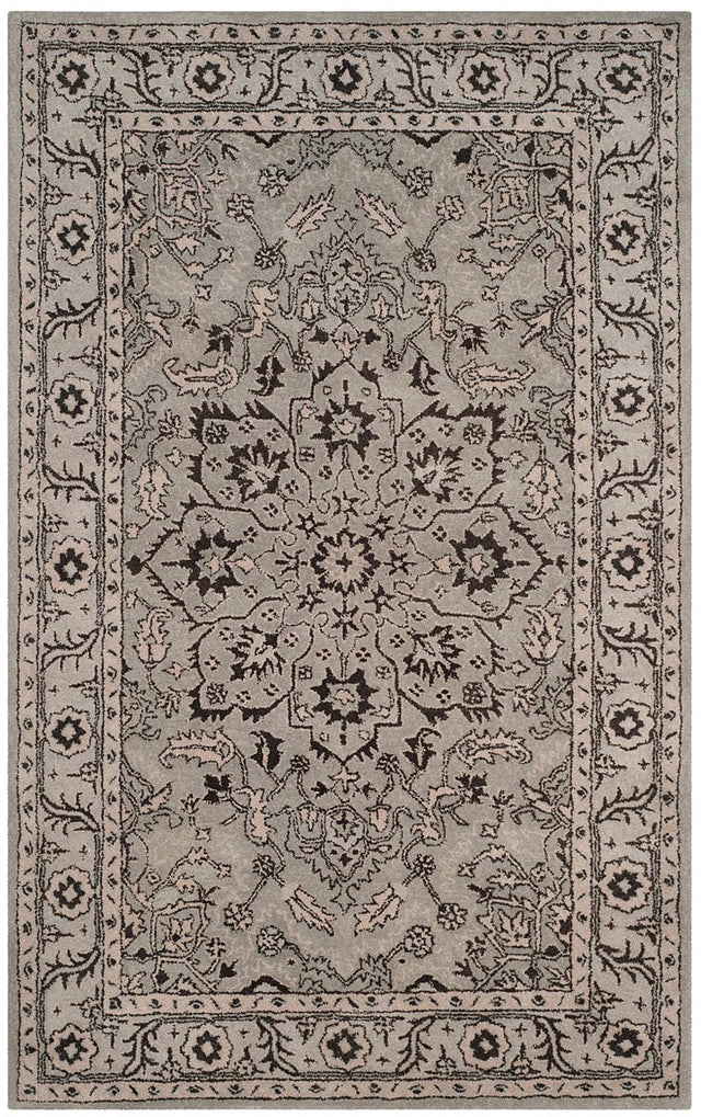 Safavieh Antiquity At58A Grey / Beige Rugs.