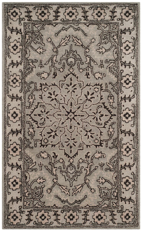 Safavieh Antiquity At58A Grey / Beige Rugs.