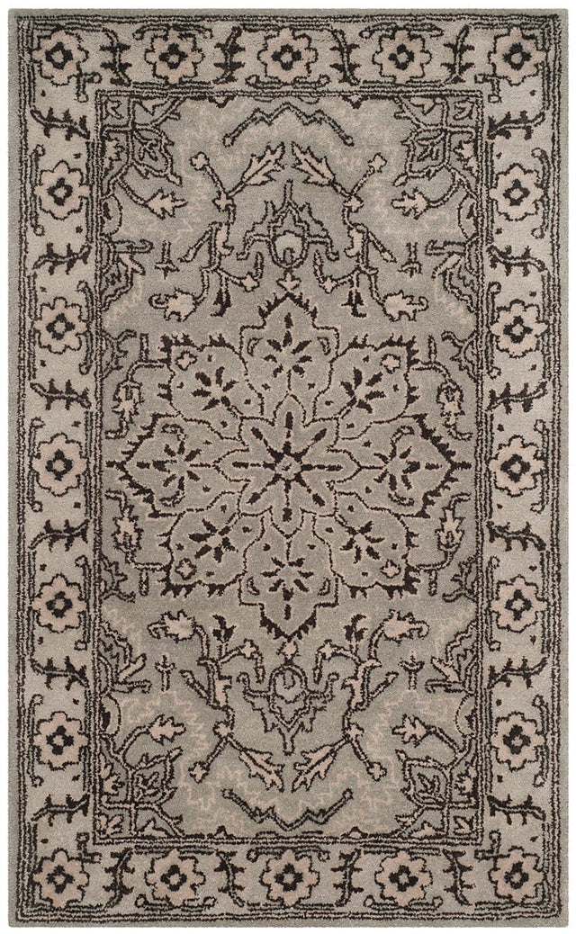 Safavieh Antiquity At58A Grey / Beige Rugs.