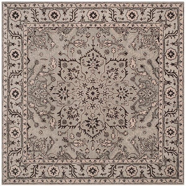 Safavieh Antiquity At58A Grey / Beige Rugs.