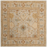 Safavieh Antiquity At60A Light Grey Rugs.