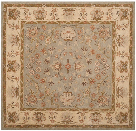 Safavieh Antiquity At62A Light Grey / Beige Rugs.