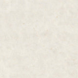 Safavieh Arctic Shag Sg270A White Rugs.