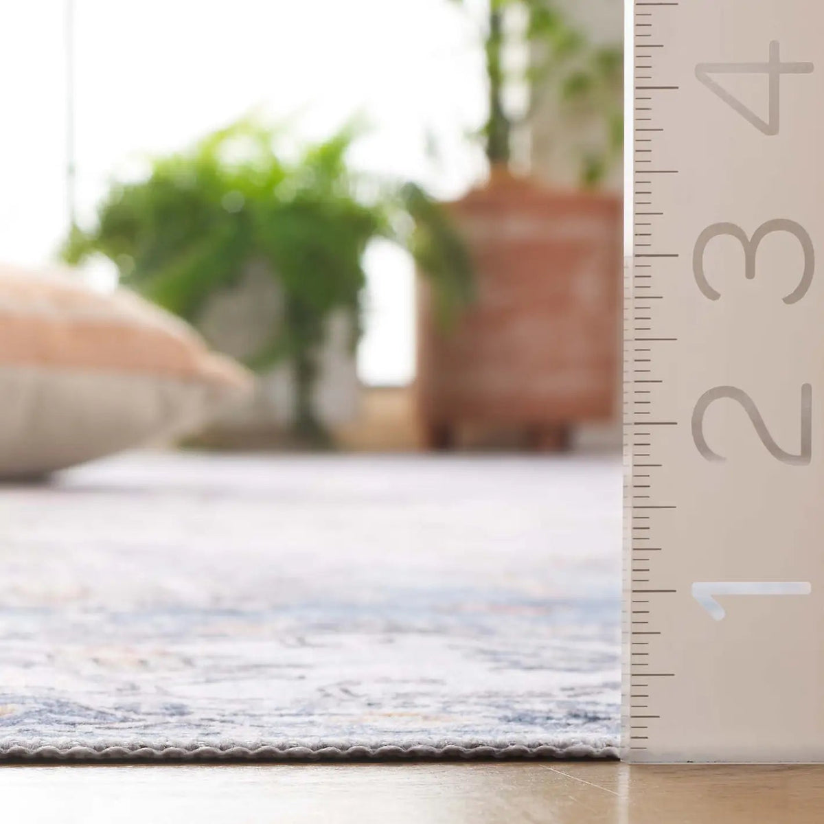Safavieh Arizona 4'-0" x 6'-0" Rug in Ivory / Light Blue