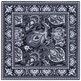 Safavieh Arizona 6'-0" x 6'-0" Rug in Black / Grey