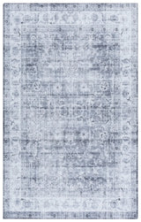 Safavieh Arizona 4'-0" x 6'-0" Rug in Grey / Beige