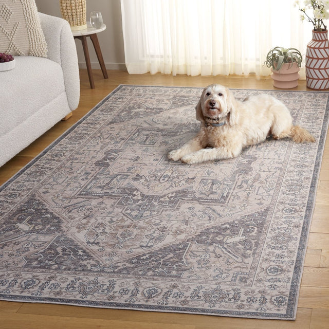 Safavieh Arizona Arz249B Beige/Grey Rug.