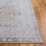 Safavieh Arizona 4'-0" x 6'-0" Rug in Beige / Light Taupe