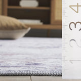 Safavieh Arizona 4'-0" x 6'-0" Rug in Ivory / Grey