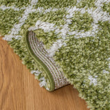 Safavieh Arizona Shag Asg741X Green/Ivory Rugs.