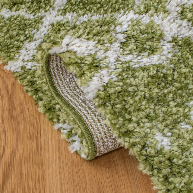 Safavieh Arizona Shag Asg741X Green/Ivory Rugs.