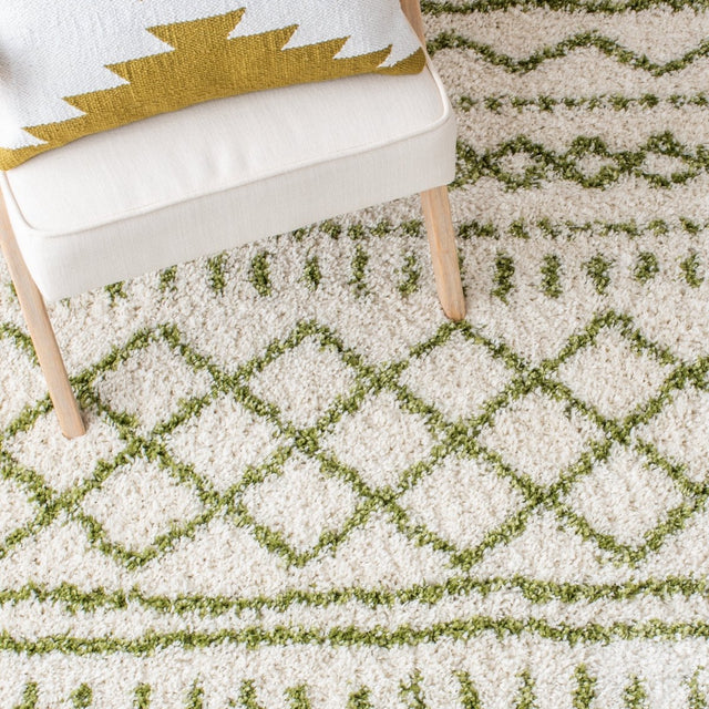 Safavieh Arizona Shag Asg741Y Ivory/Green Rugs.