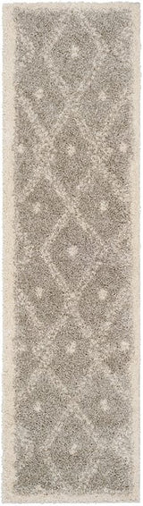 Safavieh Arizona Shag Asg748D Grey / Ivory Rugs.