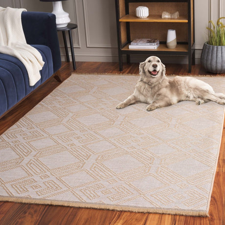 Safavieh Aspect Ape456A Ivory/Natural Rug.