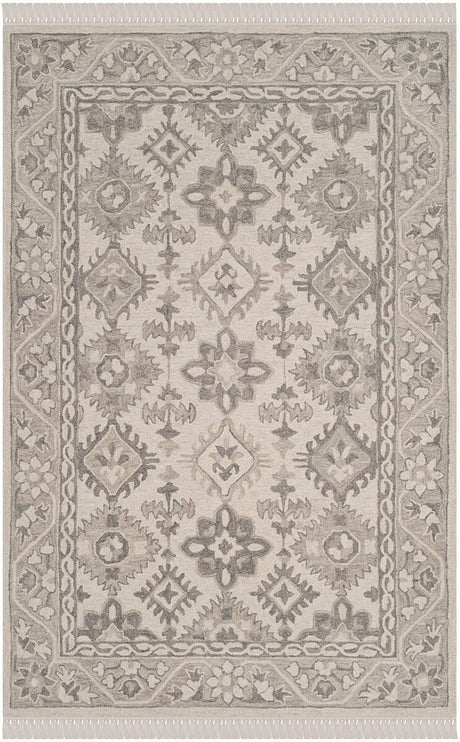 Safavieh Aspen Apn120A Light Grey/Grey Rug.