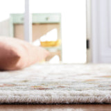 Safavieh Aspen Apn143A Ivory/Grey Rug.