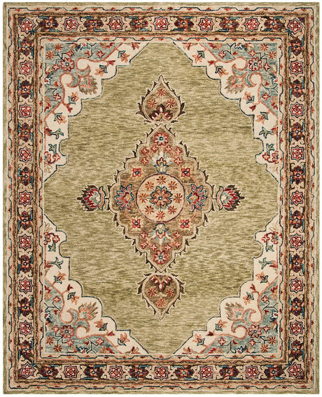 Safavieh Aspen Apn506A Sage / Brown Rugs.