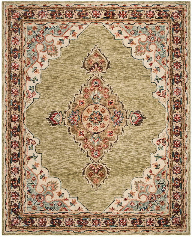 Safavieh Aspen Apn506A Sage / Brown Rugs.