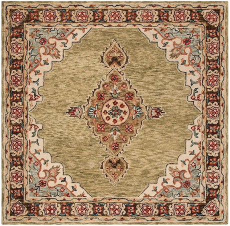 Safavieh Aspen Apn506A Sage / Brown Rugs.