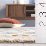 Safavieh Aspen 4'-0" x 6'-0" Rug in Ivory / Beige