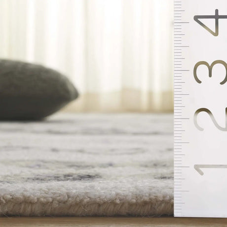 Safavieh Aspen 4'-0" x 6'-0" Rug in Ivory / Black