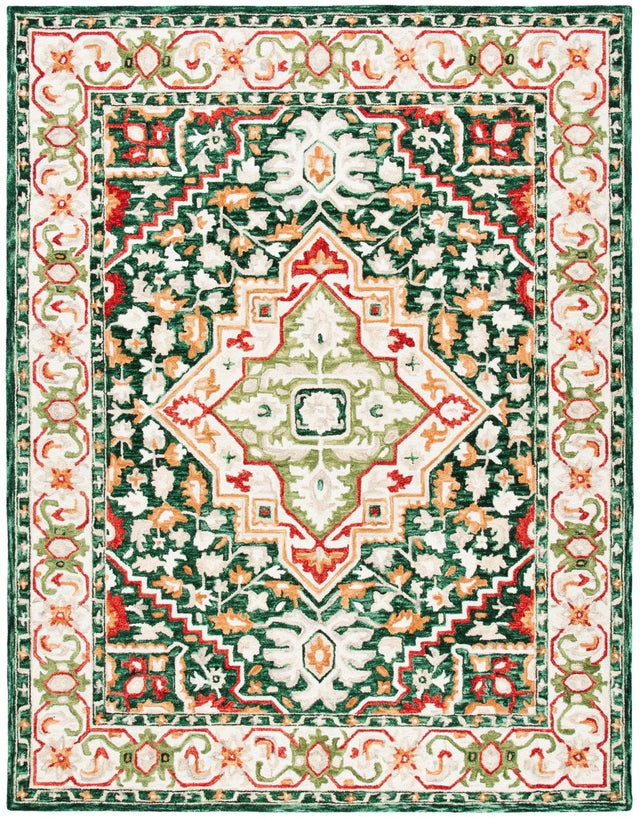 Safavieh Aspen Apn705Q Green/Red Rugs.
