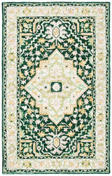 Safavieh Aspen Apn705Y Green/Ivory Rugs.