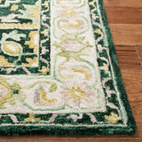 Safavieh Aspen Apn705Y Green/Ivory Rugs.