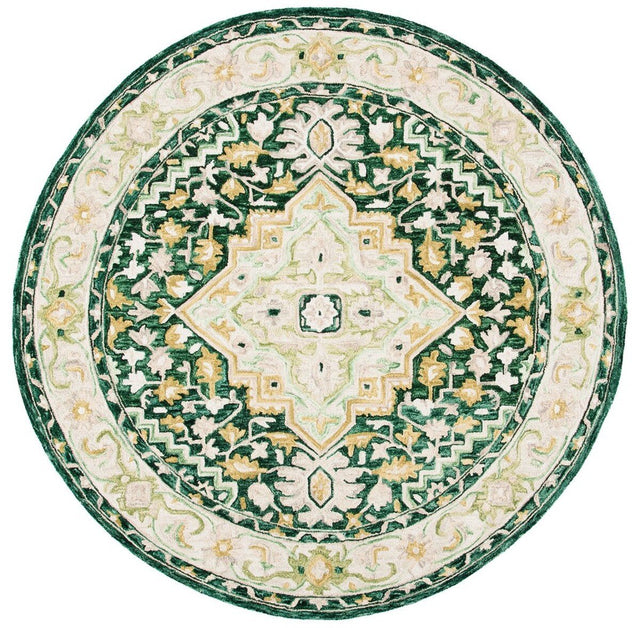 Safavieh Aspen Apn705Y Green/Ivory Rugs.