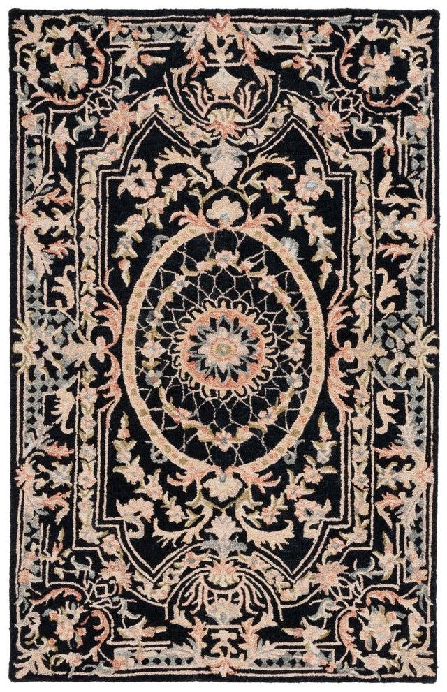 Safavieh Aubusson Aub201Z Black/Ivory Rug.