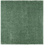 Safavieh August Shag Aug200Y Green Rug.
